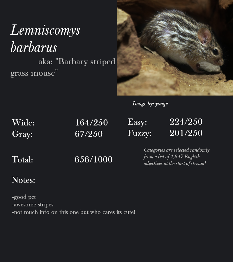 Lemniscomys barbarus